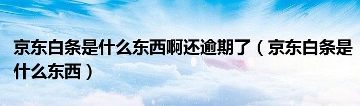 京东白条是什么意思怎么还款（京东白条是什么东西啊怎么还款）