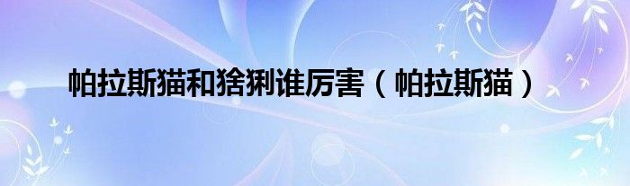 帕拉斯猫和比特犬（帕拉斯猫的天敌）