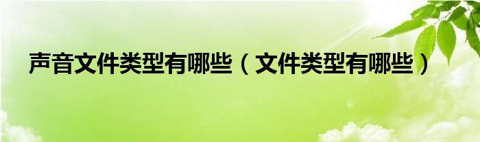 常用的声音文件格式不包括（常用的声音文件格式有几种）
