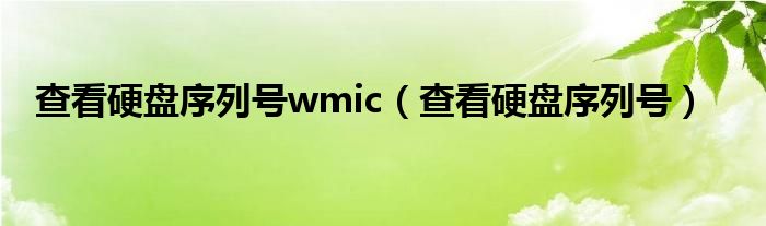 硬盘序列号查询命令wmic（查看硬盘序列号的命令）