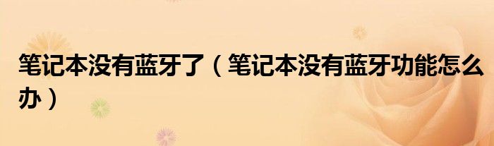 笔记本没有蓝牙设备怎么办（笔记本没有蓝牙功能怎么办）
