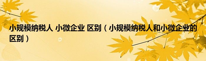 小规模纳税人小微企业免税销售额（小规模纳税人小微企业免税销售额）