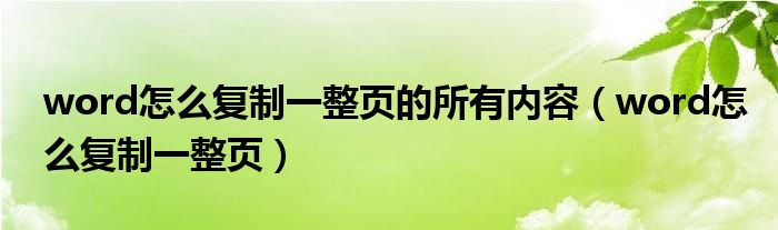 word怎么复制一列然后怎么粘贴（word怎么复制一整页的文字）