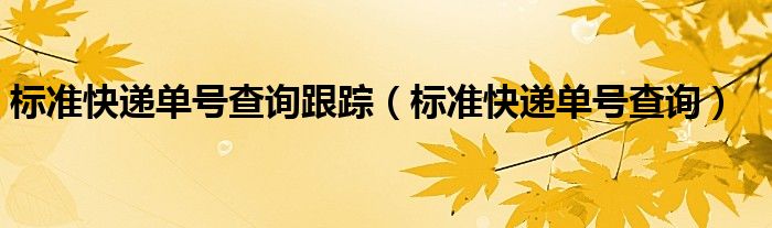 国内标准快递单号查询单号（标准快递单号查询单号）