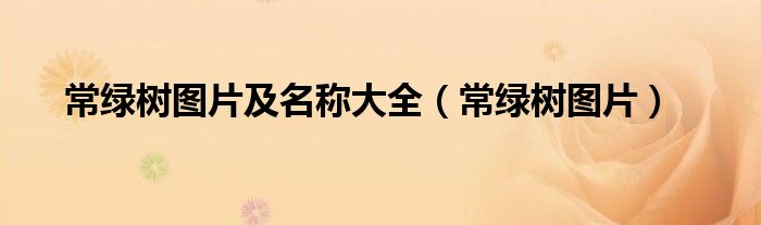 常绿树图片及名称大全（常绿树图片及名称大全集）