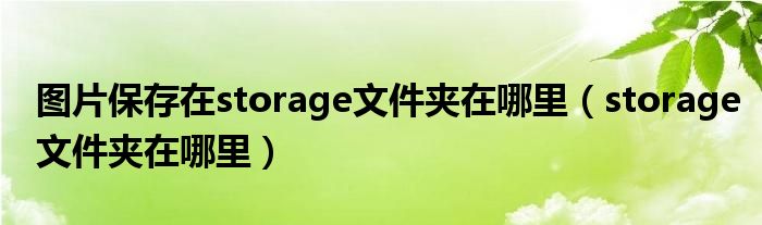 frontpage图片保存在（存入图片）