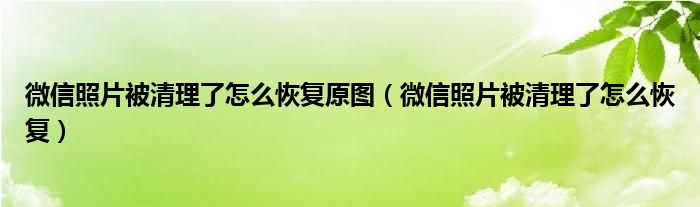 微信照片被清理了怎么在电脑找回或恢复（微信照片被清理了怎么找回或恢复软件）