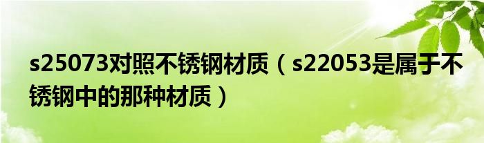不锈钢2507牌号（不锈钢25073是什么）