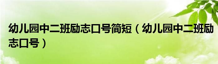 幼儿园中二班励志文案（幼儿园中二班励志口号3个字）