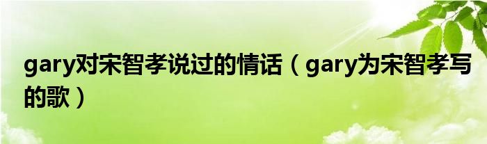 gary和宋智孝的歌（gary与宋智孝）
