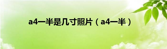a4纸的规格是多少乘多少（a4纸的一半是多大的照片）