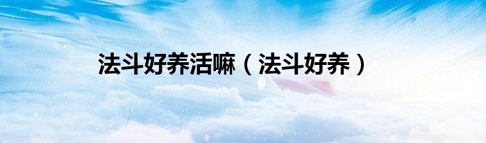 法斗好养吗?适合家养吗（法斗好养吗性格如何）