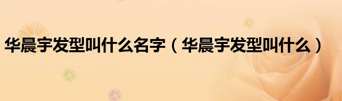 华晨宇发型叫什么名字啊（华晨宇发型盘点）