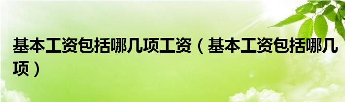 基本工资包涵什么（基本工资包括哪几项工作内容）