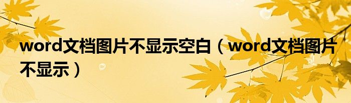 word文档图片不显示空白（word文档图片不显示空白页）