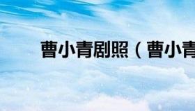 曹小青剧照（曹小青还珠格格照片）