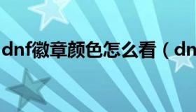 dnf徽章颜色怎么看（dnf徽章颜色对应部位）