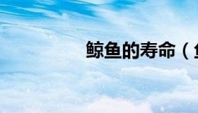 鲸鱼的寿命（鱼的寿命）