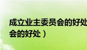 成立业主委员会的好处 PPT（成立业主委员会的好处）