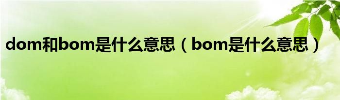 dom,bom（dom和bom指什么）