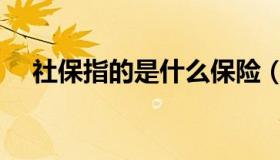 社保指的是什么保险（社保指的是什么）