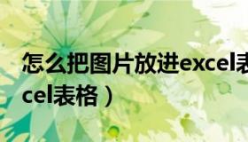 怎么把图片放进excel表格（图片怎么放进excel表格）