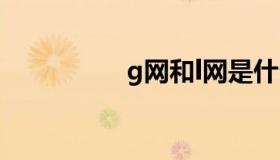 g网和l网是什么（g网）