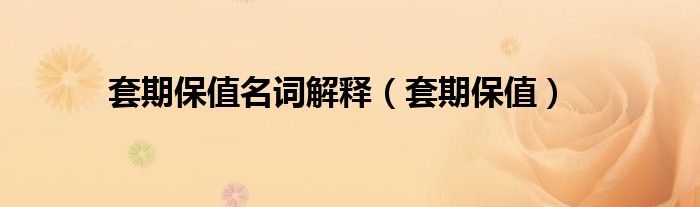 套期保值的概念和基本原则（套期保值定义）