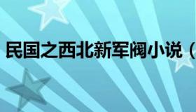 民国之西北新军阀小说（民国之西北新军阀）
