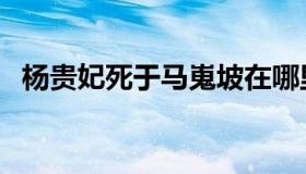 杨贵妃死于马嵬坡在哪里（马嵬坡在哪里）