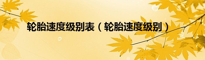 轮胎速度级别大全（轮胎速度级别指数对照表）