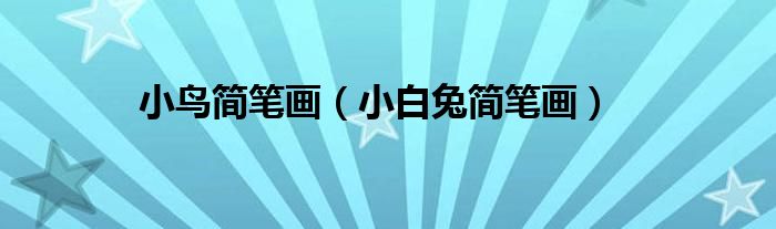 画小鸟视频教学（怎么画小鸟简单又可爱怎么画小兔）