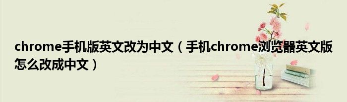 手机chrome改成简体中文（google chrome英文改中文）
