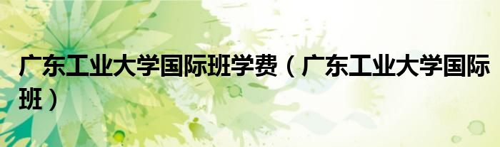 广东工业大学国际班学费（广东工业大学国际班学费 20019）