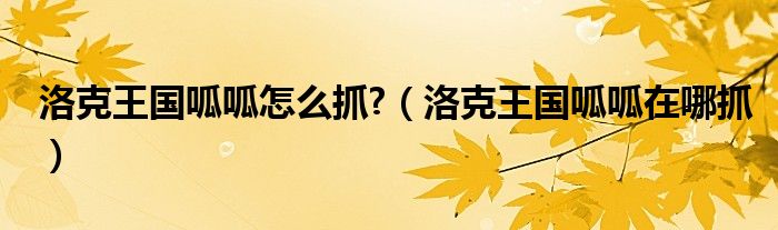 洛克王国里面的呱呱怎么获得（洛克王国 呱呱）