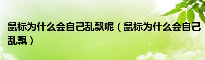 为什么鼠标老是自己飘（鼠标为什么会自己乱飘呢）