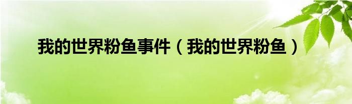 我的世界主播粉鱼怎么了（我的世界粉鱼皮肤分解图）