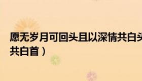 愿无岁月可回头且以深情共白头（愿无岁月可回头且以深情共白首）