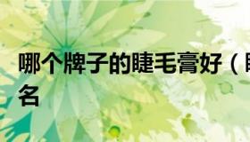 哪个牌子的睫毛膏好（睫毛膏品牌排行榜前十名
