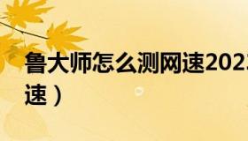 鲁大师怎么测网速2023款（鲁大师怎么测网速）