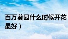 百万葵园什么时候开花（百万葵园什么时候去最好）