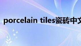 porcelain tiles瓷砖中文名字（porcelain）