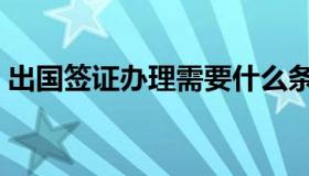 出国签证办理需要什么条件（出国签证办理）