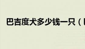 巴吉度犬多少钱一只（巴吉度犬图片大全）