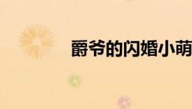 爵爷的闪婚小萌妻小说下载