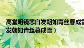 高堂明镜悲白发朝如青丝暮成雪形容什么快（高堂明镜悲白发朝如青丝暮成雪）