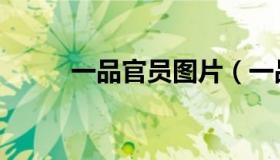 一品官员图片（一品公务员论坛）