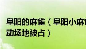 阜阳的麻雀（阜阳小麻雀：公园方回应极限运动场地被占）