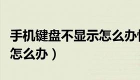 手机键盘不显示怎么办恢复（手机键盘不显示怎么办）