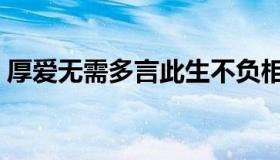 厚爱无需多言此生不负相遇（厚爱无需多言）